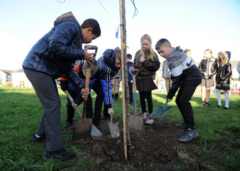 SARA planting