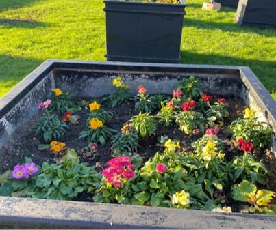 Cato Street planters