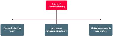 structure for commissioning team