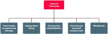 structure for therapies team