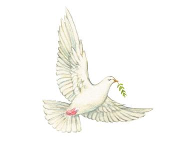 Dove