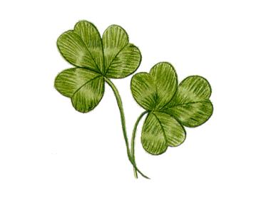 Shamrock