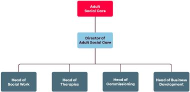 Adult social care team