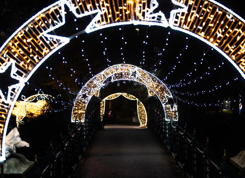 Festival of Light 2023 light tunnel over bridge image